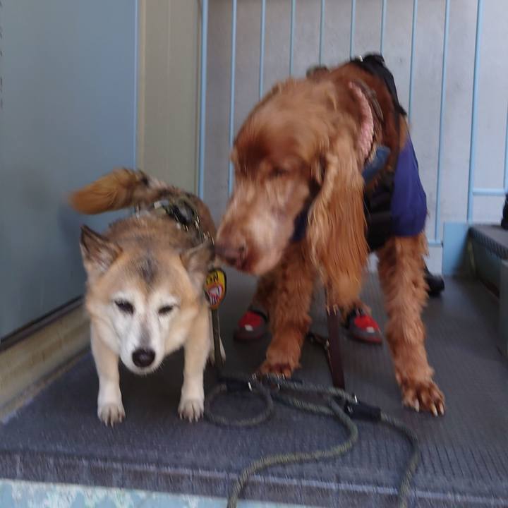 F680e46e c7f1 46c7 a61f 0c0d43faf67b 1709455782570