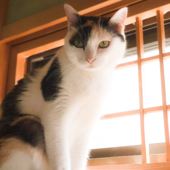 F680eee6 1233 4c42 8e60 72bba840baac 1567652921875