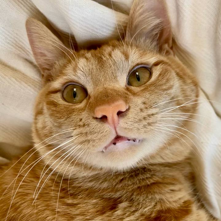 F68113f4 a05d 4465 8514 2430ff464400 1653798551133