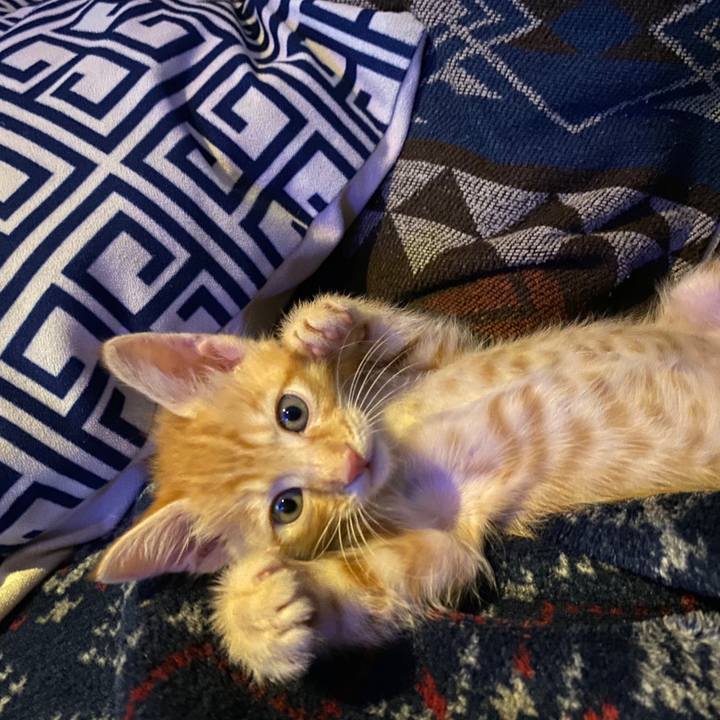 F6812c3d 322d 4c4c b392 d7396e1c087f 1571665658583