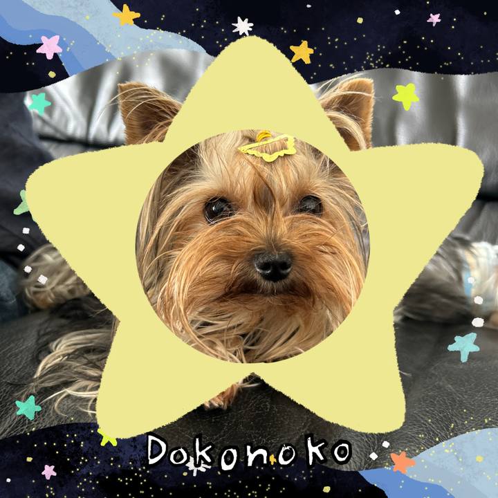 F6812deb b566 43a2 87a5 b74216b7b598 1720829390100