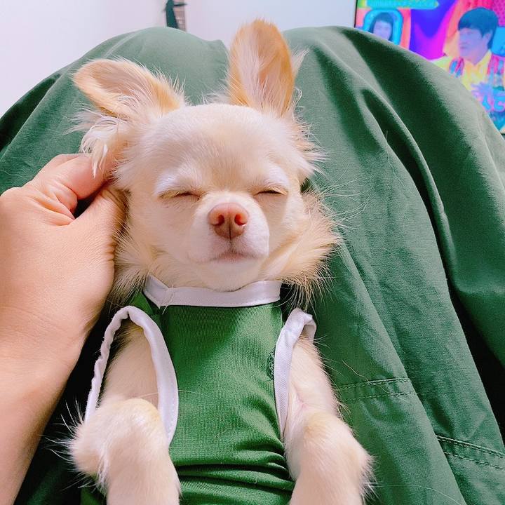 F6813501 acbc 4471 9a69 844629ef4226 1625905203297