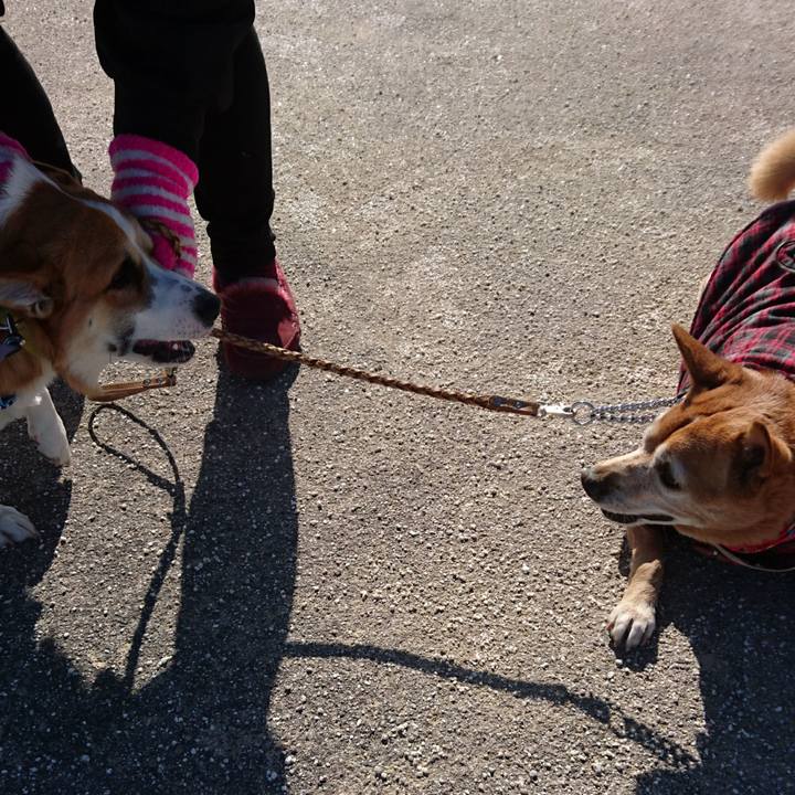 F6816ebb a1dc 4b05 8b5f e65daf89dc5a 1582098531716