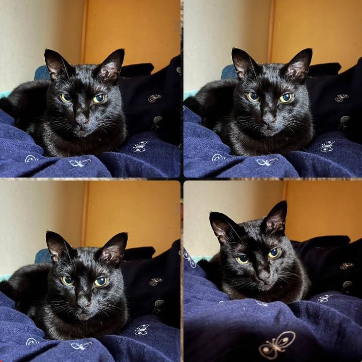 F6817657 82d5 4b73 93c8 6003ef9b89dd 1705486533758