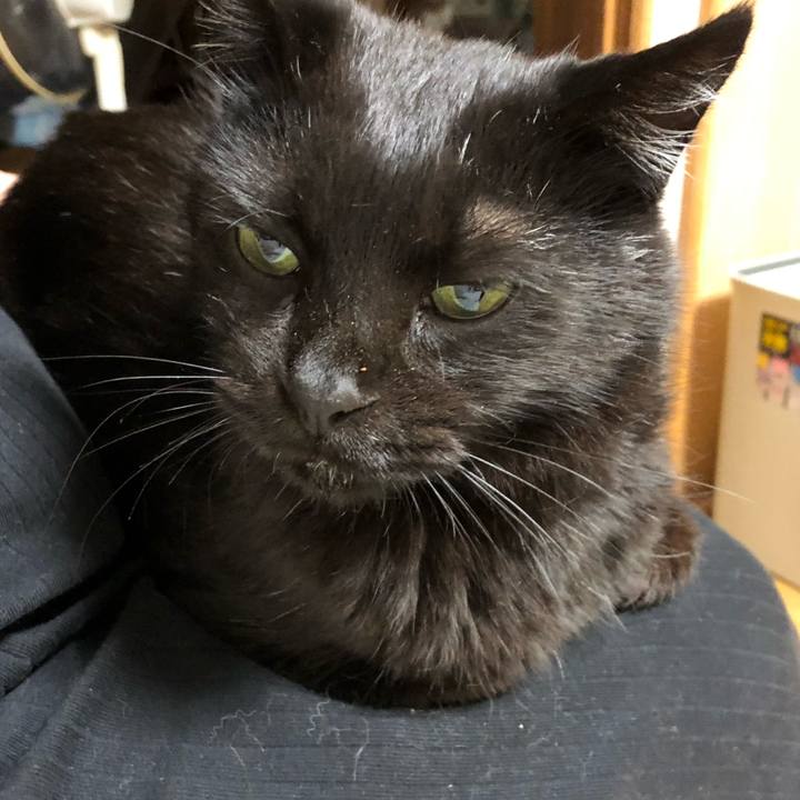 F6819c72 cd36 46fb 9ad9 a5ba79c10064 1601385390541