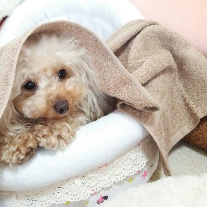 F681eed8 c32c 4c1d 8508 43fcb20a2849 1517053123745