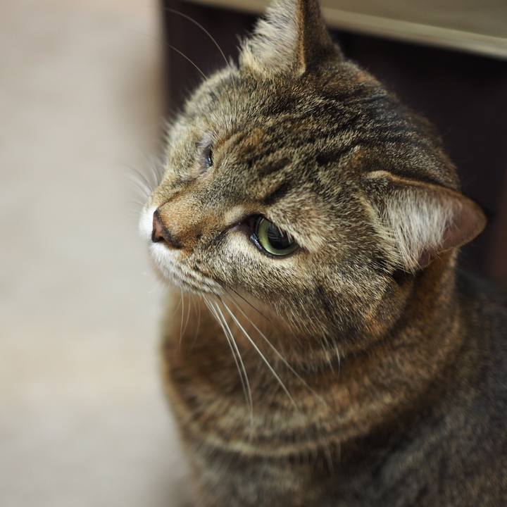 F6820cc5 9c1f 42de b973 aeed05abcb66 1598364428802