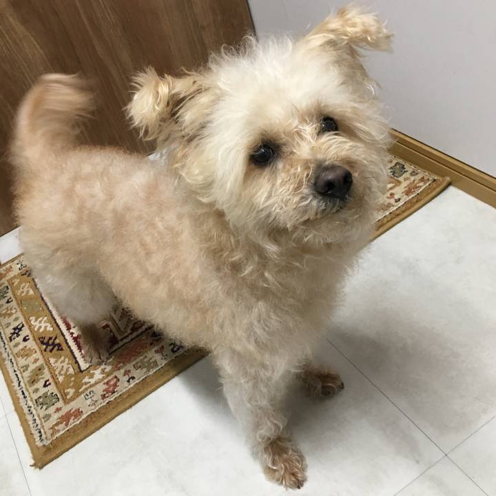 F6823ea2 70c3 4c12 ab42 0a57e04f6c27 1586640117488