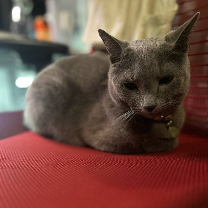 F6823f28 dab6 4f1a 833c e8d2202c1741 1723674757768