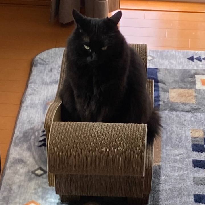 F682522f 354d 4bed ba8b 15d4cc527a48 1590640609983