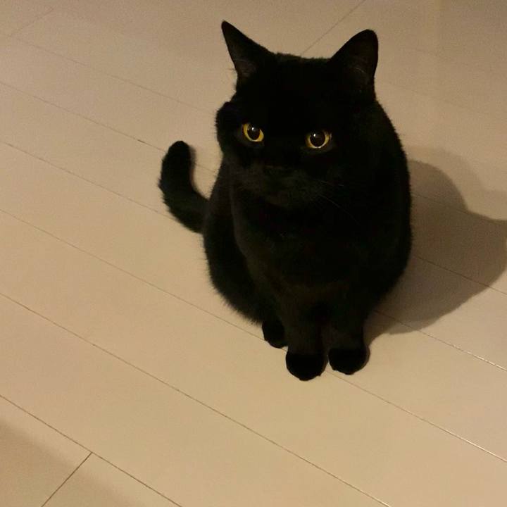 F6829086 e548 4145 b4e7 db2f8cff1327 1614333536826