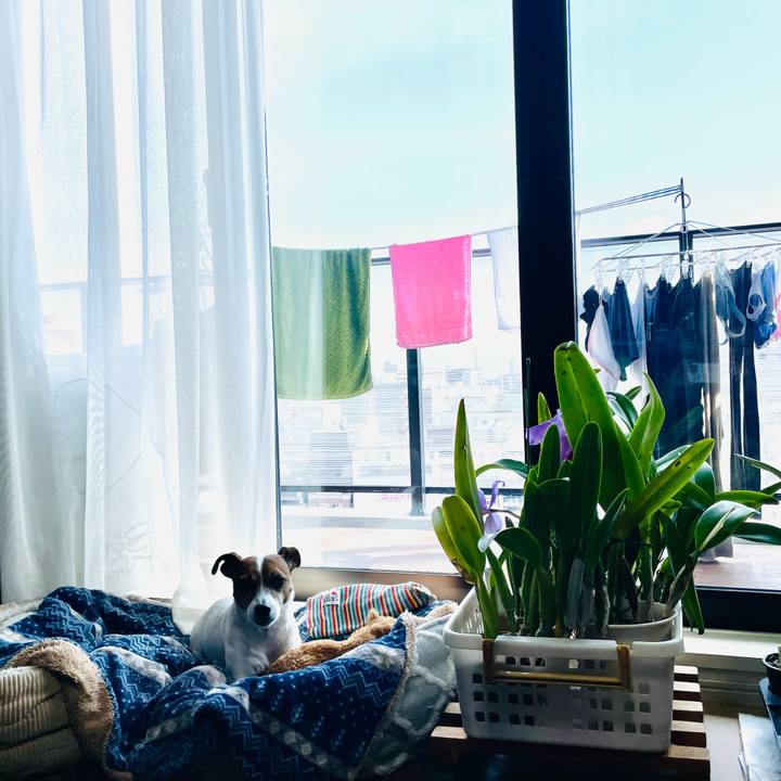 F682adf2 152a 49e7 9bc1 f7594f8f44d0 1738547836621