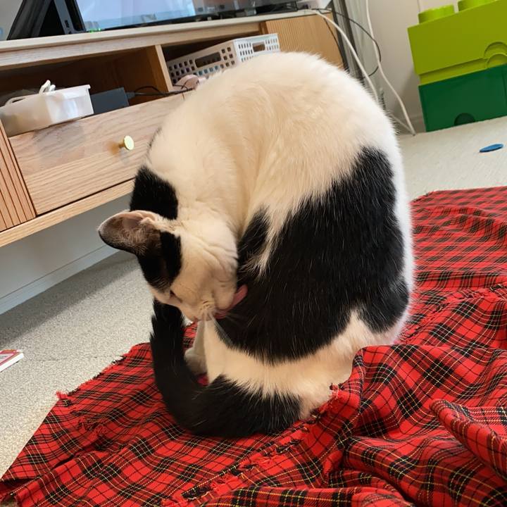 F682bc40 8074 4e23 afa5 de3b30012115 1722849493833