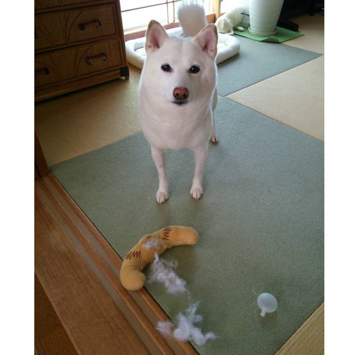 F682ccf6 2198 4d06 a623 fe11e16aad5f 1556851083474