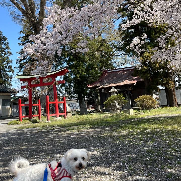 F682ffbf c61b 4339 b90f a31f82833c48 1680061709004