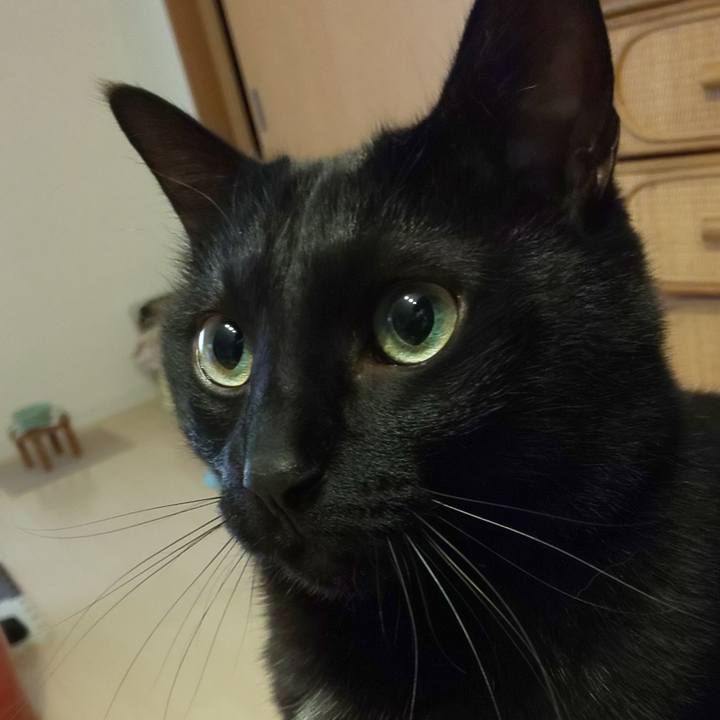 F6837ecc f4d0 453f be9a 013cdfce2b07 1645482831866