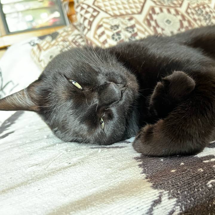 F68381bd 3212 4042 bbbf 704aac84c4b7 1685427683718