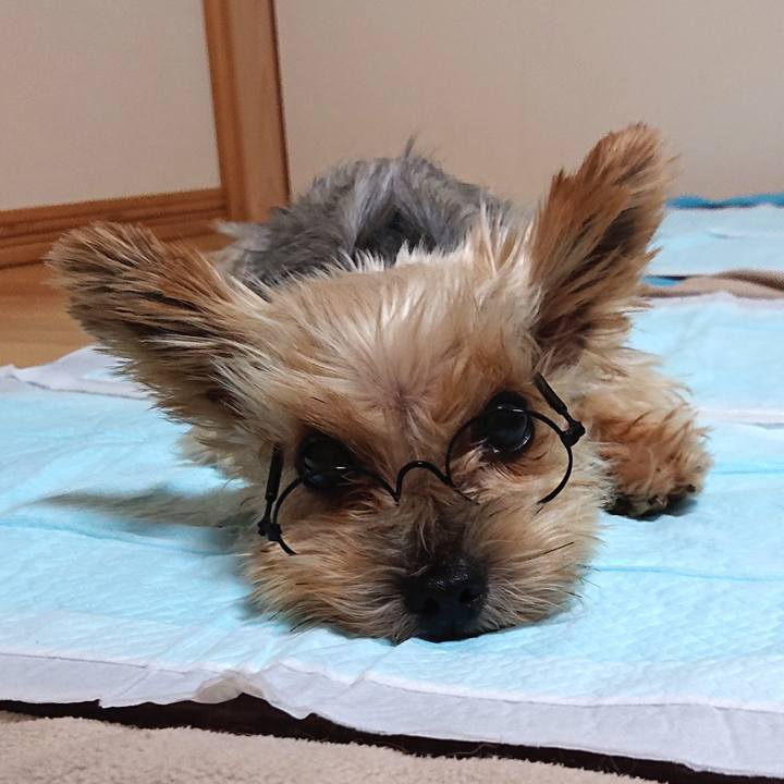 F683d55d 8535 4105 9785 f1ca0f8fda8d 1599838672955