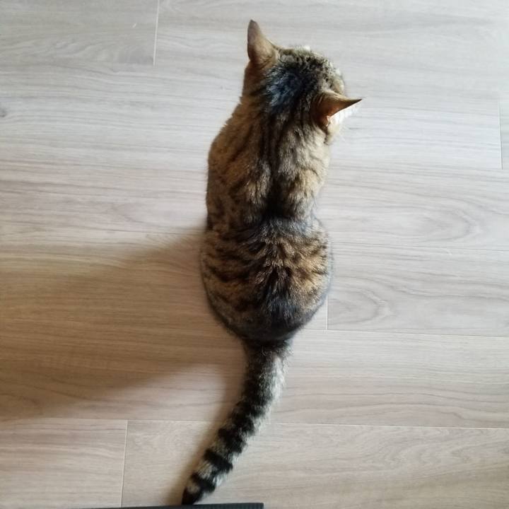 F683e94a f182 45d1 8154 23f4c961baf3 1619731776386