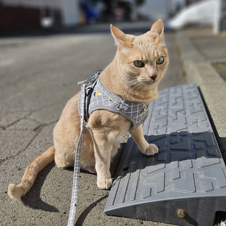 F684137e 8828 421c bedb 1463d389ef74 1712448298601