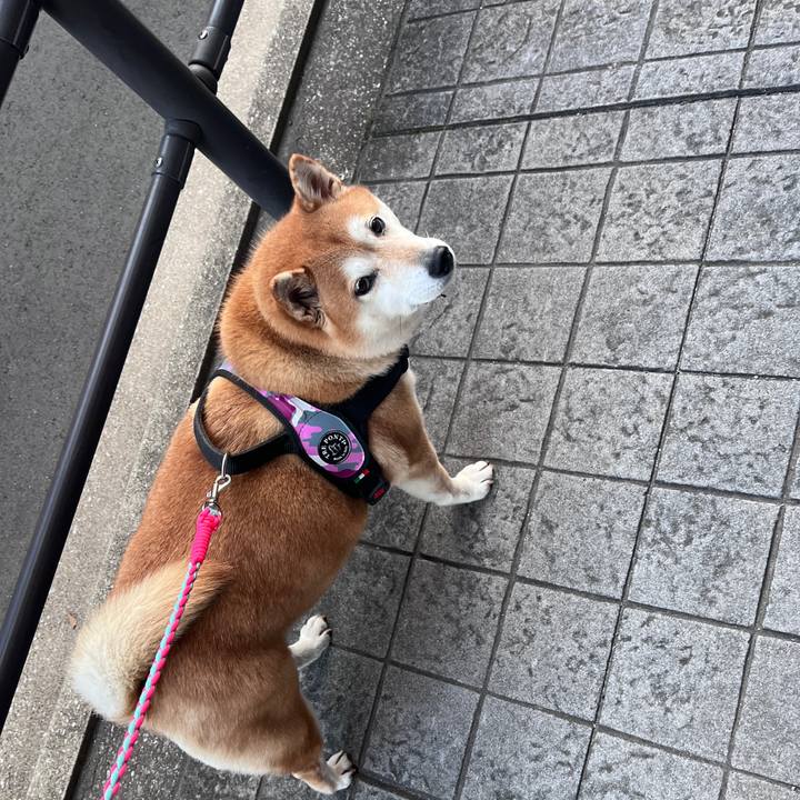 F6851f49 49dc 44ba 8544 154e929ce9d8 1702797929332