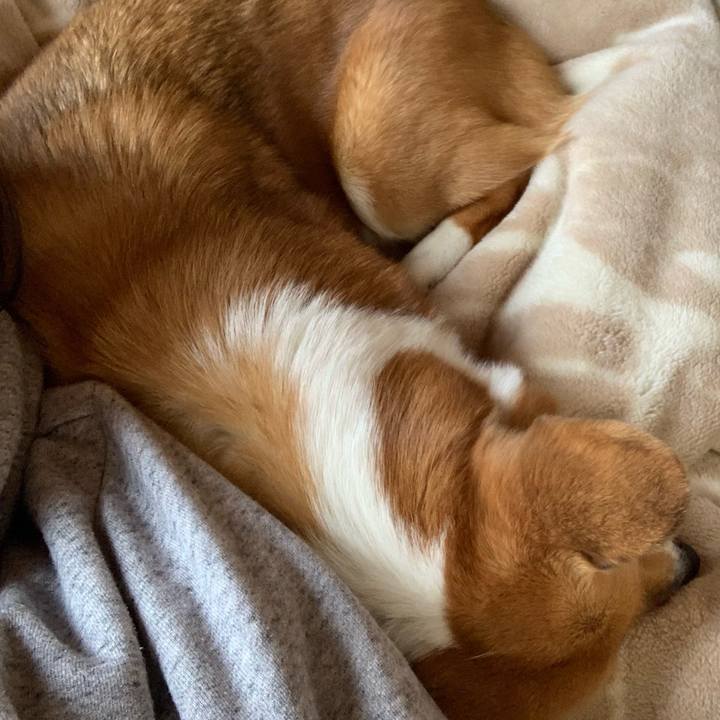 F6852237 7357 4143 9e7e d0e28fd4a191 1615616075999