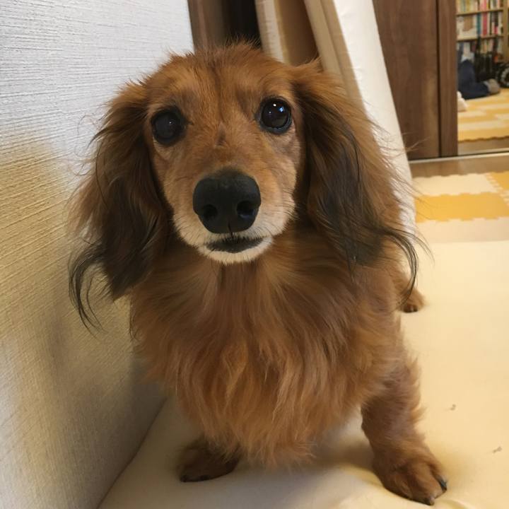 F6854251 b6ef 4d84 9887 49453c0980a0 1522134340470