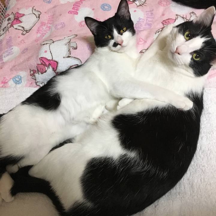 F68554c3 e9b0 4bac 895a a8bc763569e8 1527947326135