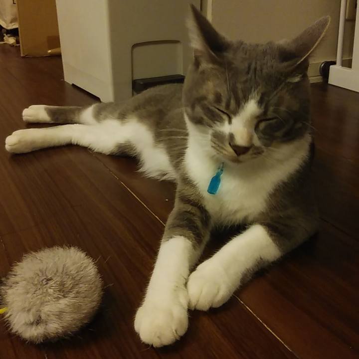 F6857cef 7541 4ed6 929a 0d96d3c0768f 1593439844572