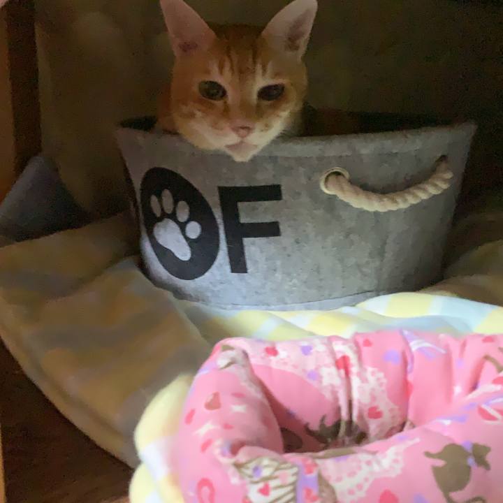 F685a2f3 35a6 405f ada1 5304e3f37529 1603465987046