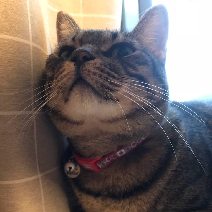 F685c7b9 c7e3 4e44 81ec 41c94d154ade 1544451102858