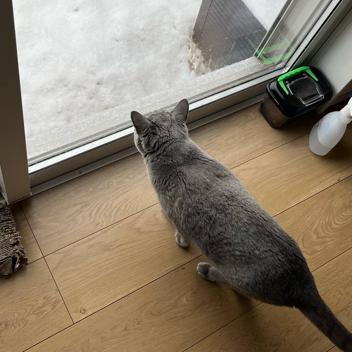 F685f461 68de 4318 bc52 1c5cafdb153c 1770512439289