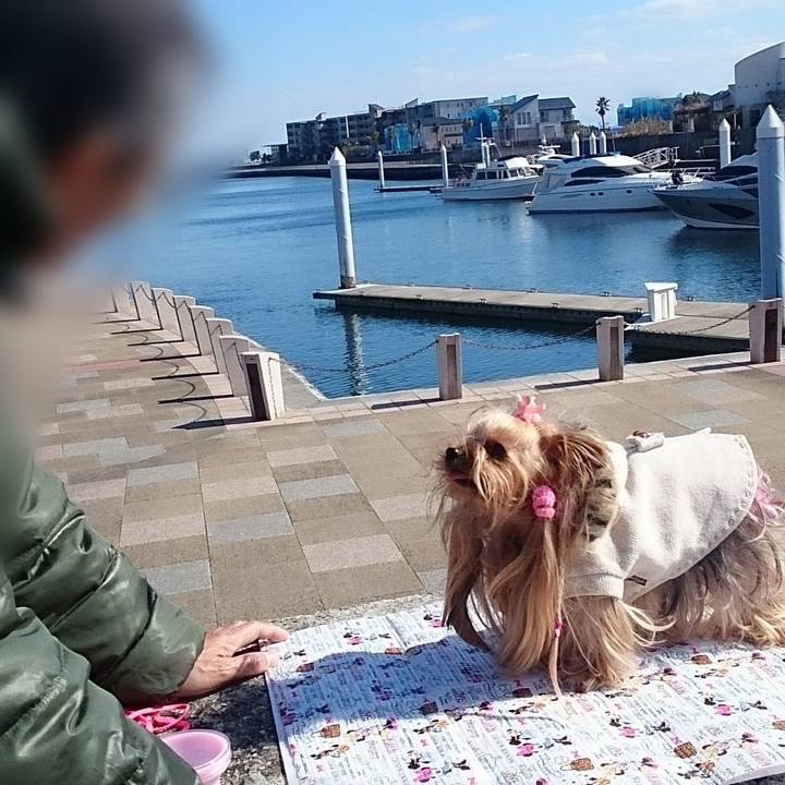 F6860319 7b3b 4b05 9f17 479162996558 1646014648321