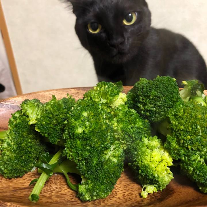 F68605ca f0b7 4283 a1d2 d91b414642f8 1544098543283