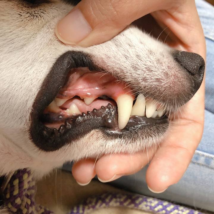 F6862c77 b972 4cdd 9cff 2fb04036b9f5 1597759663803