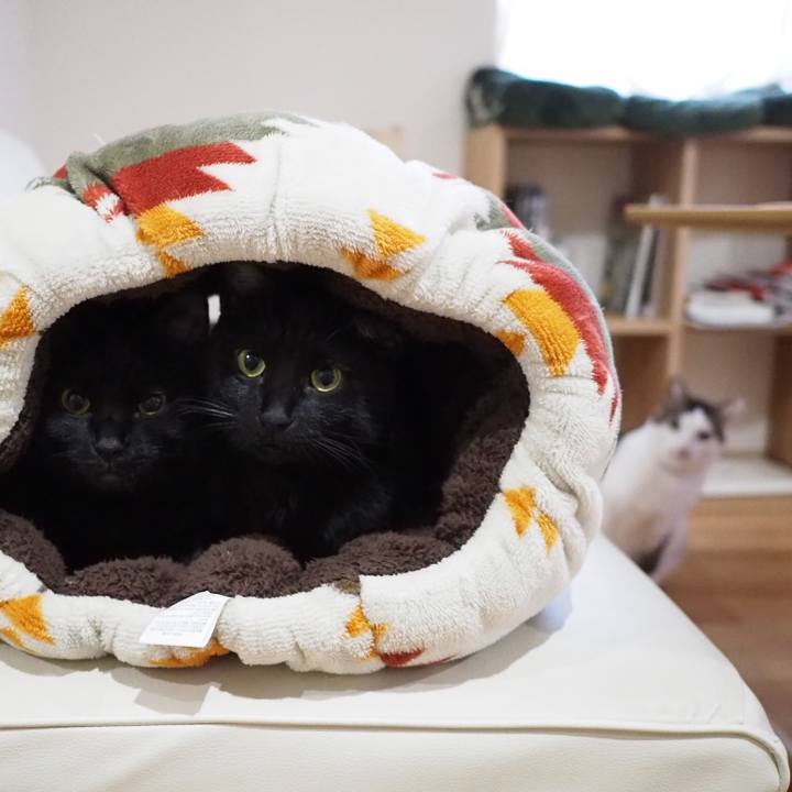 F68654eb d09e 42f4 a0e8 d13c2db37635 1545089228113