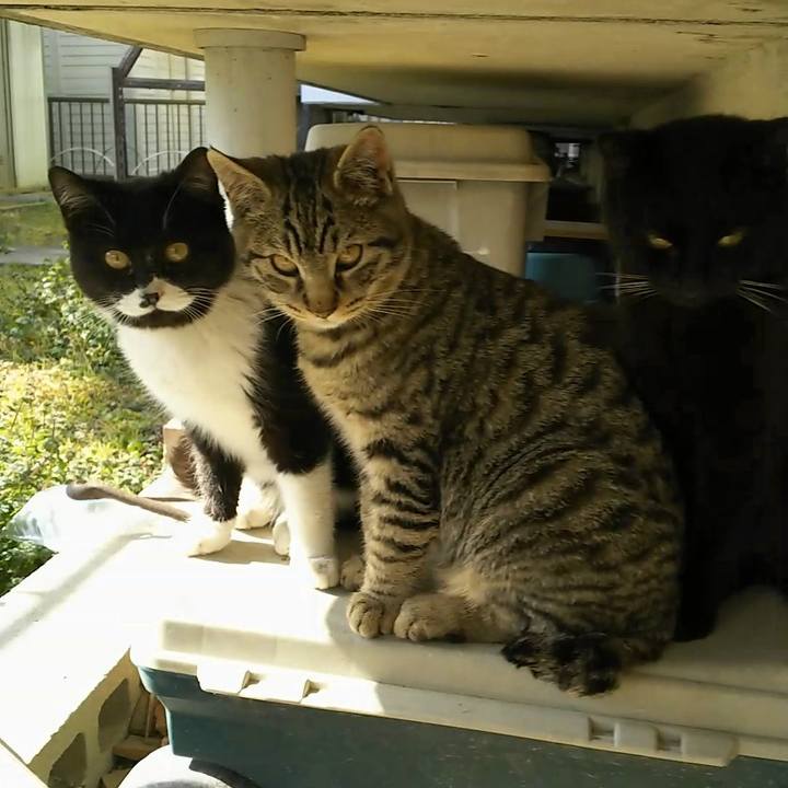 F6866fd9 2290 46c3 b2c5 473fbbbb0b42 1550639396341