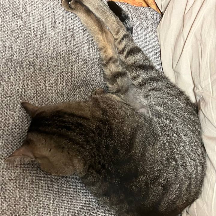 F6868f1a 3f49 419c 81b4 83d20fc8273c 1778077199423