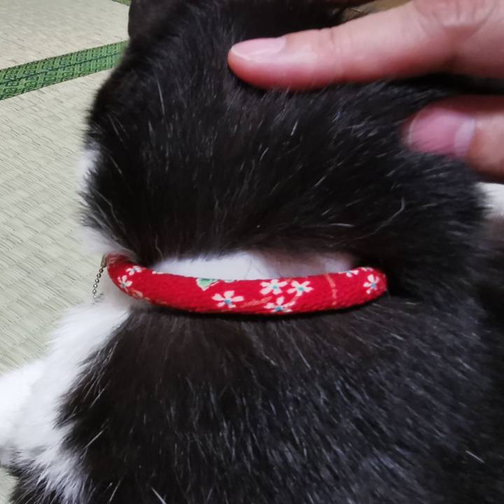 F686b3c9 c8db 478d 85b9 b6783dfcab8d 1656560694394