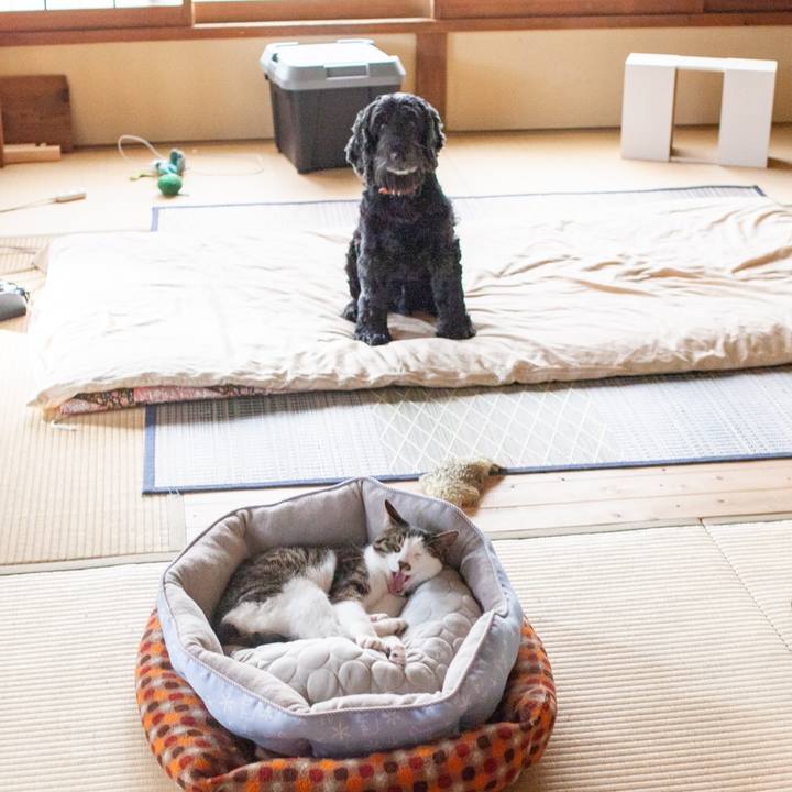 F686e2b1 041d 45c8 9af0 4aa3e3786b36 1560218343838