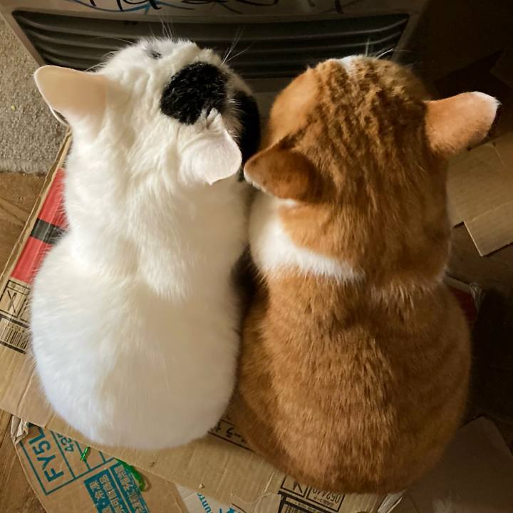 F686f386 7616 4d1e b658 838a703d75ed 1645743722019