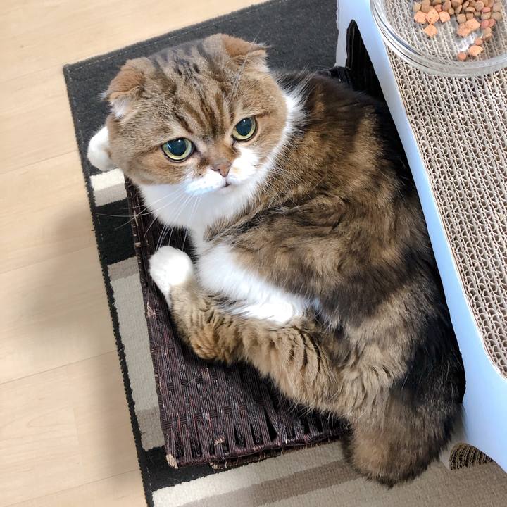 F6870c3e 4e06 4dcb 958b 7ffd02c6bd07 1598170254613