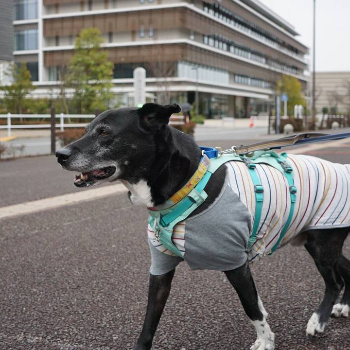 F68714d8 d1f7 44e6 889e bf8465532d2b 1771290135898