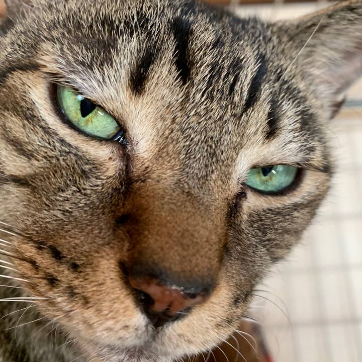 F687274d d0d9 4f7b a28e fd04faf2088b 1544838675864