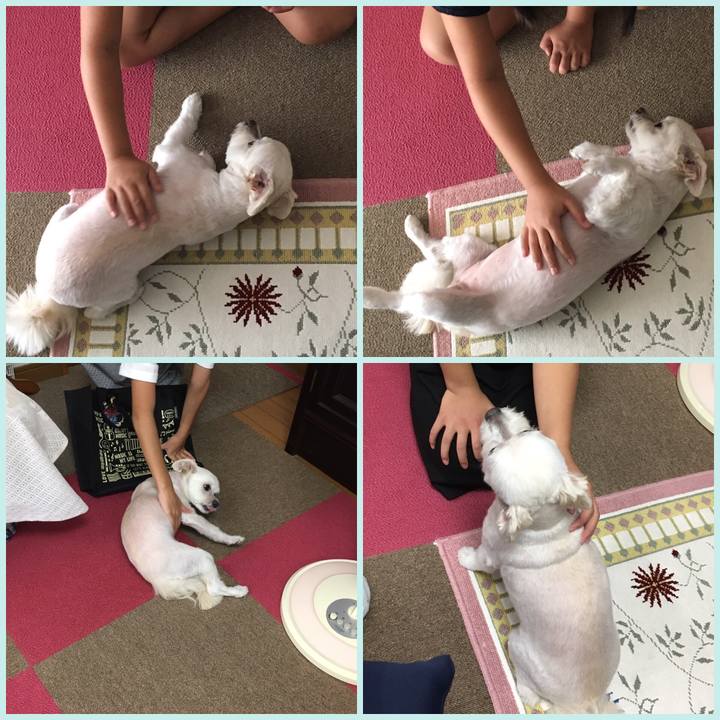 F68730ce f0f0 43f5 ae5e 867650d5df19 1566476828668