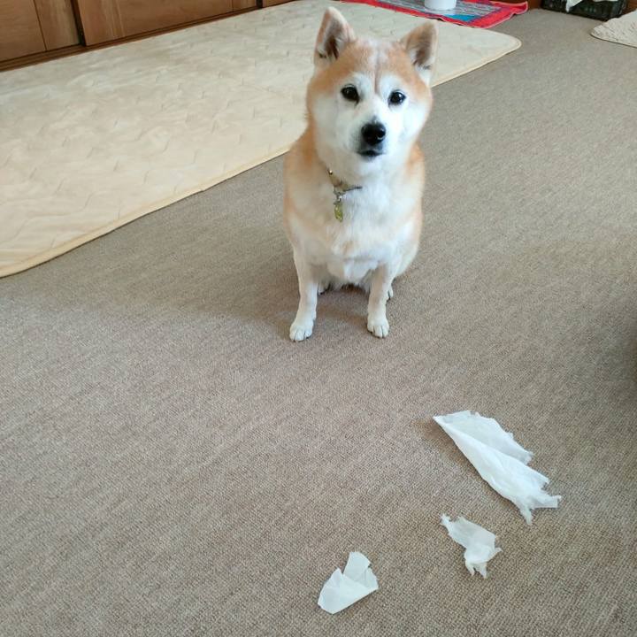 F687858f 736e 48f3 860e 05d552fb590a 1772792605009