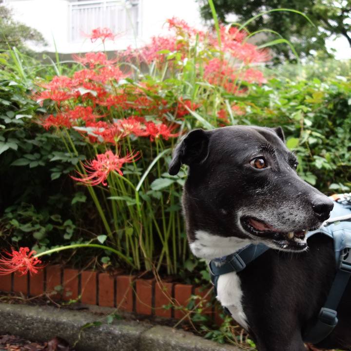 F6879b0b 7769 4d11 8d23 6493b5e0fd0b 1727480133581