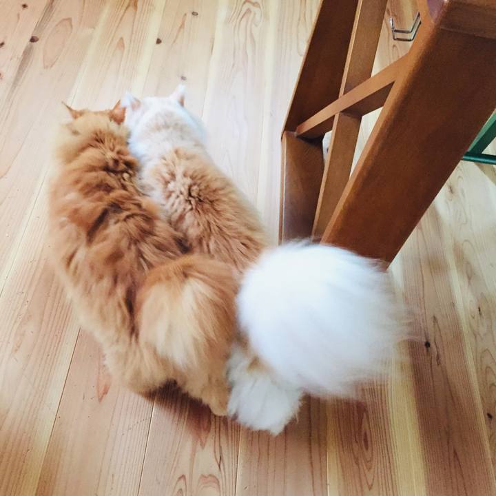 F687c285 90c4 473b af86 4b003aad1c14 1572130708494