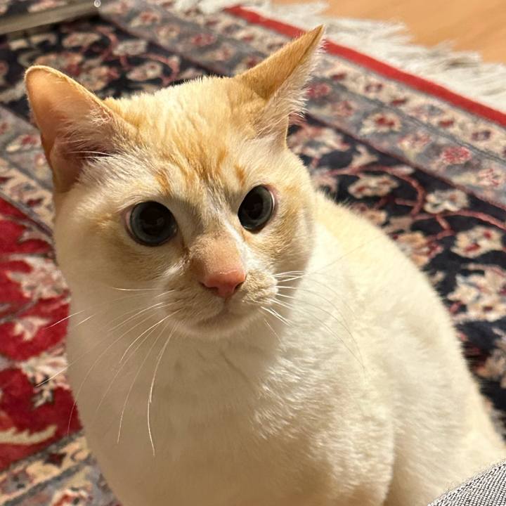 F687cffd 5cd8 47ed a4a3 465ea7ea7c60 1777203907513