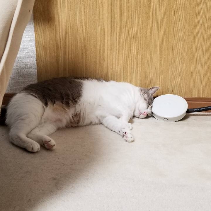 F6880e13 05d7 46bb 9a06 776951c6b984 1611413812632